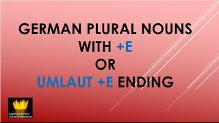 Which GERMAN NOUNS take an e or umlaut & e in the PLURAL?  #German #Grammar #sample lesson