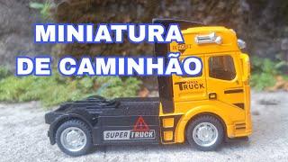 Miniatura de carro/ Caminhão em miniatura