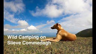 Wild Camping on Slieve Commedagh in the Mourne Mountains with Eddie the Whippet