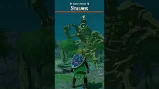 Did you know this about Stalnox in Tears of the Kingdom?