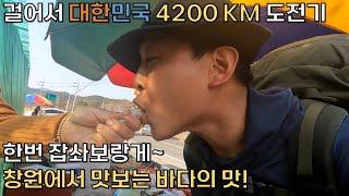 5 I 창원에서 맛보는 바다의 맛!  I 창원 남파랑길  9~10코스 I 코리아둘레길4200KM 종주 도전기5