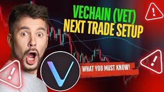 VECHAIN (VET) HOLDERS ACT NOW OR MISS OUT ON THIS MOVE [GET READY NOW!!]