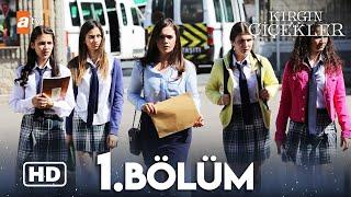 Kırgın Çiçekler 1. Bölüm | HD