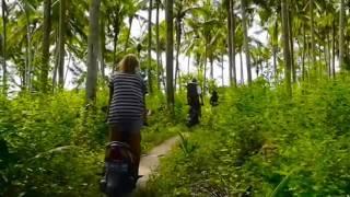 ALEX HAYES - MY WORLD HD ( THE DAILY LIVING )