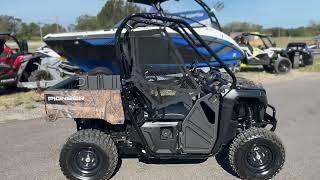 2022 Honda Pioneer 520 - Used UTV For Sale - Sebring, FL