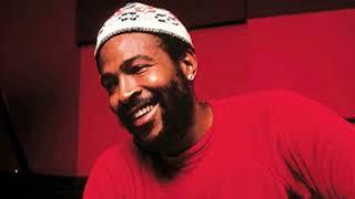 Marvin Gaye (AI) based on Mercy Mercy Me - Early 70's Groove