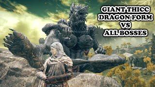 GIANT & THICC Dragon God Form VS All Bosses (Base + DLC) | Elden Ring Shadow Of The Erdtree