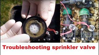 Sprinkler Valve Repair and Clean