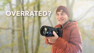 PHOTOGRAPHING Foggy WOODLANDS | Are They Overrated? Let's find out