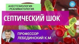 Профессор Лебединский К.М: Септический шок