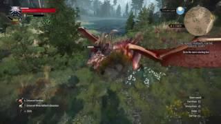 Best crossbow shot. ( Takeing it right out of the sky.) Witcher 3 Wild Hunt