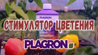 Стимулятор цветения Plagron Green Sensation