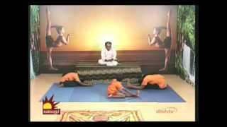 Dr. Asana Andiappan Kalaignar Tv Yoga Program  15.02.2013