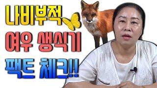 나비부적과 여우생식기에 대한 팩트체크 짚고 넘어가기 / 도화살 화개살이 있는 사람은 필요없구요 갖고만 있는다고 효험을 보는게 아니라 비방법이 따로 있습니다