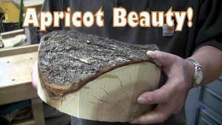 An Apricot Treat!  Wood Turning