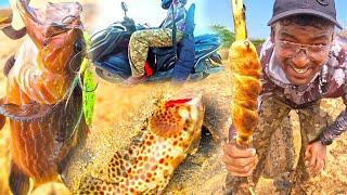 ஆளில்லா கடற்கரையில் மீன் பிடித்து சுட்ட ரொட்டி -  Beach Fishing & Cooking [EP-5]