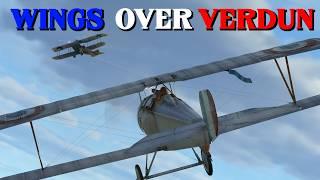 Wings Over Verdun || IL-2 Flying Circus Career Ep. 1