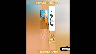 pronunciation , practicing Arabic  . практикующий арабский язык