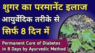 शुगर का परमानेंट इलाज करें सिर्फ 8 दिन में | Permanent cure of diabetes by Ayurvedic method