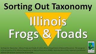 Sorting Out Taxonomy: Illinois Frogs and Toads