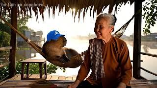 Cuộc sống ở quê của Bà cùng Capybara #capybara #funny #haihuoc