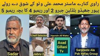 Pakistani Top Class Bully Breed Dog Name Jabru 2 and Rambo 5 Owner Sarpraste Ala Master M Ali Wattu