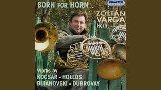 Four Improvisations for Horn Solo: Hispany. Vivo