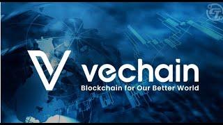 НОВА СЕЗОНА Аналитика VeChain VET по барање на гледачите 2024..