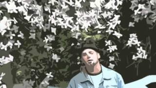 Steven R. Brooks - Eclipse