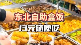 东北自助盒饭，13元随便吃！【咪西裴裴】