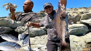 Light VS Heavy Fishing Showdown: #1 From Light Game Fishing to 55gr lures! Full Footage!