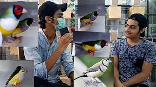 Visit to A Setup Of Exotic Finches ( Rare Mutations ) AD Exotic Finches Pakistan