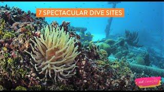 7 Spectacular Dive Sites | Curaçao Island Travel Guide