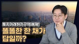 토지거래허가구역 전격 해제! 저라면 '이곳'에 주목하겠습니다! (똘똘한 한 채가 답일까?) [데일리뉴스 675]