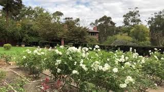 Marston house garden