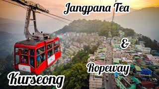 Jungpana Tea Garden | Kurseong | Trekking & Tea Ropeway #darjeeling