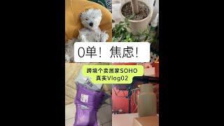 跨境电商个卖0单日常焦虑的真实Vlog 02