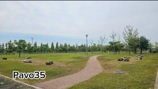 FPV Drone flying at high speed in a quiet park