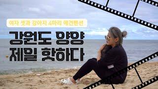 1박2일 VLOG ] 강원도로 ￼떠나는 여름 휴가 | 라이더 설아