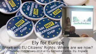 Brexit and EU Citizens' Rights - part 1 - Anne-Laure Donskoy (the3million)