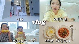 vlog 고추장찌개 두번 해먹고 이사도 하는 옥수수가 맛있는 브이로그