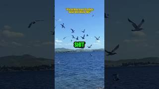  Warning…he got the $5 tho :) #family #shorts #k2 #fyp #viral #comedy #life #share #trufh #lake #i