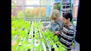 Farmers on the Roof: James, Myasia & Wesley at TEDxYouth@MSC