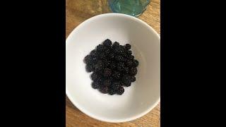 Extracting Blackberry Seeds Without a Blender