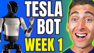 Tesla Trading Option Bot || Week 1 Results