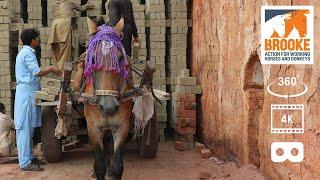 360° VR in 4K – Tour of a brick kiln in Pakistan with people and horses.