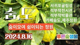 숨도 #제주정원  #귤림성서귀포   #귤림성  #숨,도  #제주여행  #숨도정원 #숨도카페