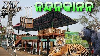 Nandankanan Zoological Park | 2nd Largest Zoo of India | Rope Way | Toy Train | Tiger Safari |