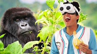 Tag with a GORILLA?! MarMar Plays VR!