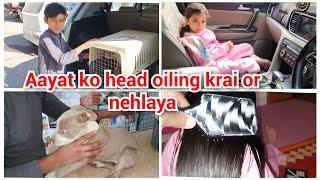 Aayat ko head oiling krai or nehlaya/mustafa k dog  ki vaccination krai/mustafa sajid vlogs